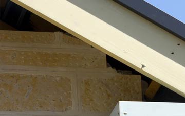 soffit repair Swingate