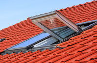 Swingate roof window